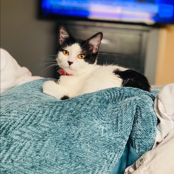 Meet your Posher, Elyse - Picture 7 of 8